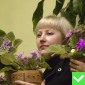 Опубликовано
